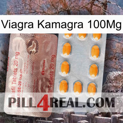 Viagra Kamagra 100Mg new13